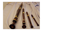 Gemeinde-Auftritte in Theesen