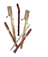 Konzerte außerhalb von Theeseni